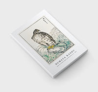 Numata Kashu - Japanese Golden Eagle and Dark Blue Sea illustration from Pictorial Monograph of Birds (1885)