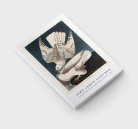 John James Audubon - Iceland or Jer Falcon from Birds of America (1827)