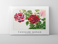 Tanigami Konan - Vintage petunia flower