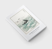 Numata Kashu - Riu Kiu House Swallow illustration from Pictorial Monograph of Birds (1885)