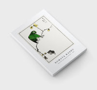 Numata Kashu - Fairy Pitta and Japanese Allspice illustration from Pictorial Monograph of Birds (1885)