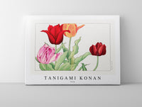 Tanigami Konan - Tulip