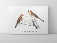 Johan Teyler - Goldfinches (1688-1698)