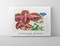 Tanigami Konan - Coleus & verbena flower