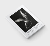 Odilon Redon - And I Saw an Angel Come Down From Heaven, Having the Key of the Bottomless Pit and a Great Chain in His Hand 1899