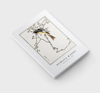 Numata Kashu - Siberian Blue-tail illustration from Pictorial Monograph of Birds (1885)