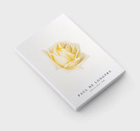 Paul de longpre - Study of a Rose (ca. 1898)