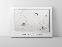 Morimoto Toko - Suzumushi bell cricket illustration from Churui Gafu (1910)