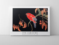 Ito Jakuchu - Red Parrot on the Branch of a Tree (ca. 1900)
