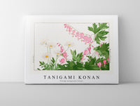 Tanigami Konan - Vintage marguriete flower