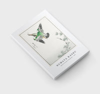 Numata Kashu - Japanese Common Kingfisher illustration from Pictorial Monograph of Birds (1885)