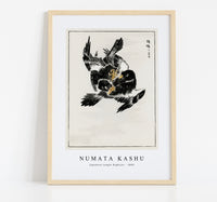 Numata Kashu - Japanese Jungle Nightjar illustration from Pictorial Monograph of Birds (1885)