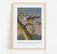 Barbara Regina Dietzsch - Sneeuwgors (Snow Bunting)