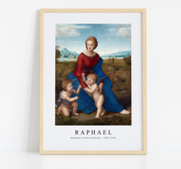 Raphel - Madonna of the Goldfinch 1505-1506