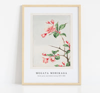 Megata Morikaga - Kaido pyrus spectabalis during 1870–1880