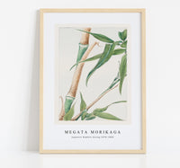 Megata Morikaga - Japanese Bamboo during 1870–1880