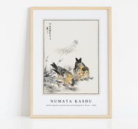 Numata Kashu - Small Japanese Greenfinch and Shepherd's Purse illustration from Pictorial Monograph of Birds (1885)