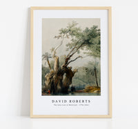 David Roberts - The holy tree of Metereah-1796-1864