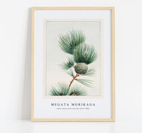 Megata Morikaga - Gayo matsu pine during 1870–1880