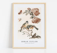 Johan Teyler - A Blue Tit and a Great Tit