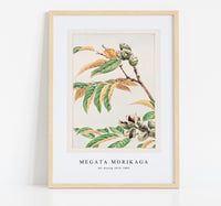 Megata Morikaga - Shi during 1870–1880