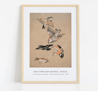 Sir Edward Burne Jones - Love leading the Pilgrim - Study of Birds Finches (1897)