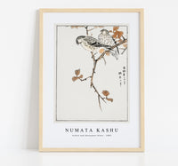 Numata Kashu - Siskin and Euonymus Alata illustration from Pictorial Monograph of Birds (1885)