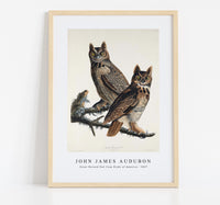 John James Audubon - Great Horned Owl from Birds of America (1827)