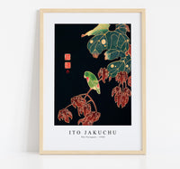 Ito Jakuchu - The Paroquet (ca. 1900)