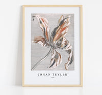 Johan Teyler - Tulip