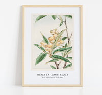 Megata Morikaga - Biwa loquat during 1870–1880