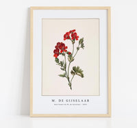 M. de Gijselaar - Red flower by M. de Gijselaar (1830)