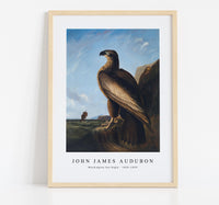 John Jadmes Audubon - Washington Sea Eagle (ca. 1836–1839)