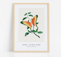 Mary Altha Nims - Rose Bush and Butterfly