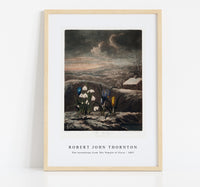 Robert John Thornton - The Snowdrops from The Temple of Flora (1807)