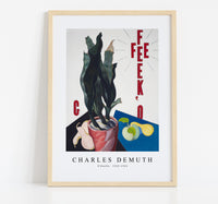 Charles demuth - O'Keeffe-1923-1924