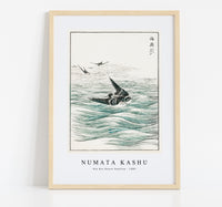 Numata Kashu - Riu Kiu House Swallow illustration from Pictorial Monograph of Birds (1885)