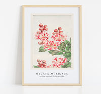 Megata Morikaga - Sarusubi blossoms during 1870–1880