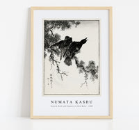 Numata Kashu - Eastern Rook and Cypress on New Moon illustration from Pictorial Monograph of Birds (1885)