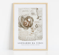 Leonardo Da Vinci - Studies of the Foetus in the Womb 1510-1513