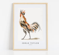 Johan Teyler - A Cock (2)