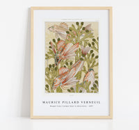 Maurice Pillard Verneuil - Rouget from L'animal dans la décoration (1897)