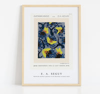 E.A.Seguy - Butterfly pochoir pattern in Art Nouveau oriental style