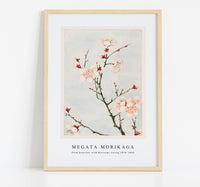 Megata Morikaga - Plum branches with blossoms during 1870–1880