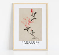 Katsushika Hokusai - Large Pink Blossom on a Stem with Three Additional Buds 1830-1850