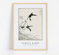 Numata Kashu - Tufted-Teal and Reed Flower illustration from Pictorial Monograph of Birds (1885)