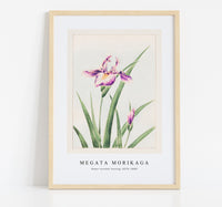 Megata Morikaga - Hana–strobel during 1870–1880