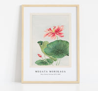 Megata Morikaga - Hasu (lotus) during 1870–1880