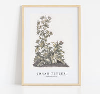 Johan Teyler - Blooming thistles