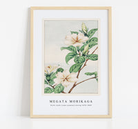 Megata Morikaga - Kuchi nashi (cape jasmine) during 1870–1880